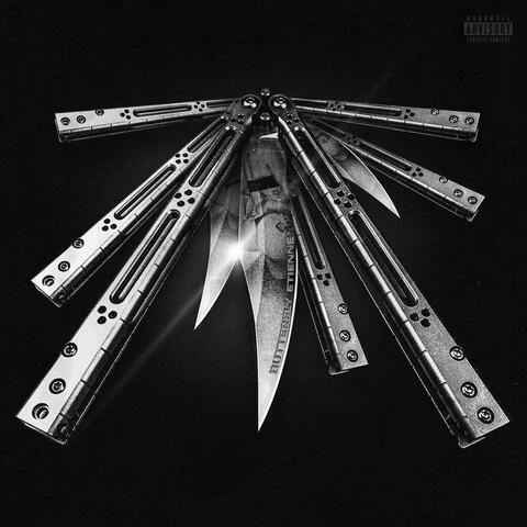 Butterfly album art