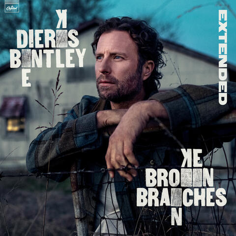 Broken Branches album art