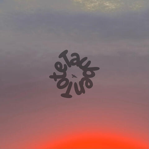 Tote Tauben album art