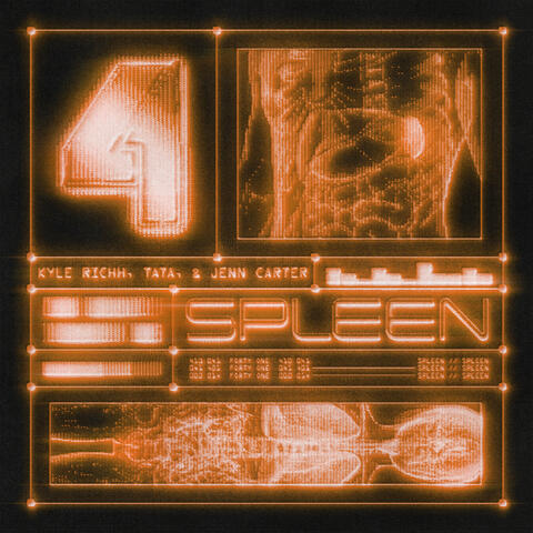 Spleen album art