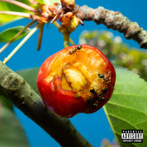 RITRATTI album art
