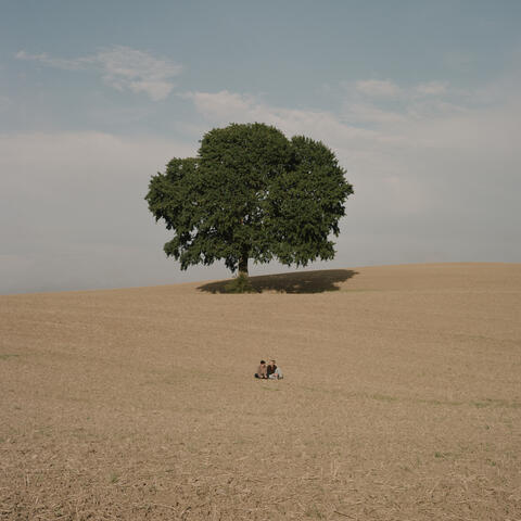 Vil du noget? album art