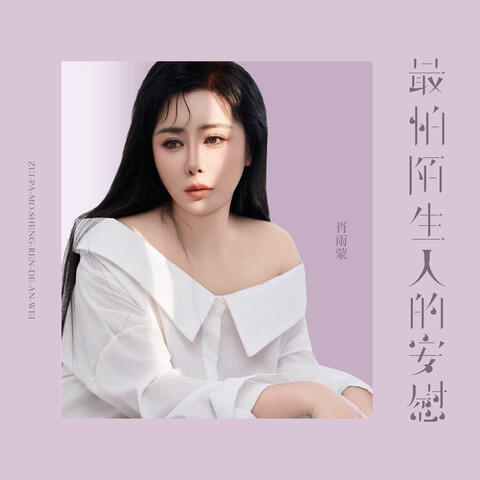 最怕陌生人的安慰 album art