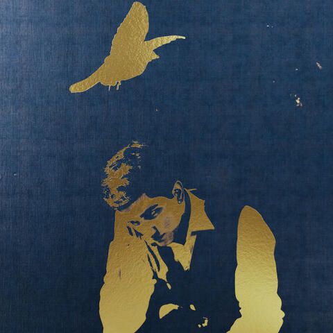 Thunders album art