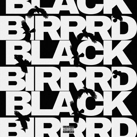 BLACKBIRRRD album art
