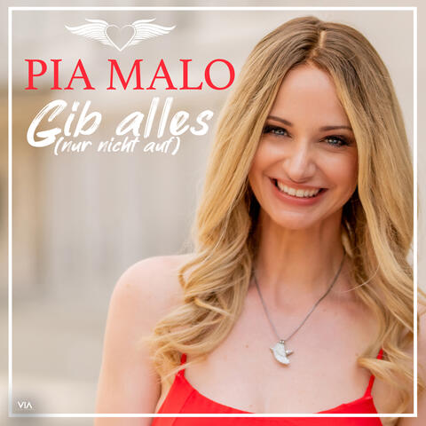 Gib alles (nur nicht auf) album art