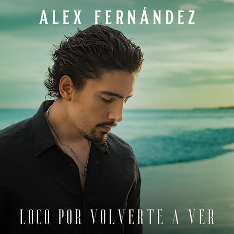 Loco Por Volverte A Ver album art