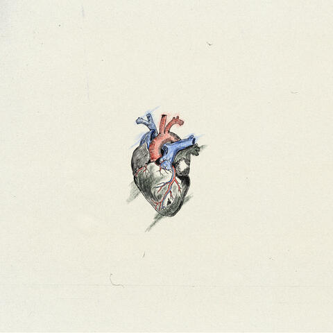 Heartbeat album art