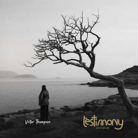 Testimony album art