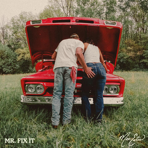 Mr. Fix It album art