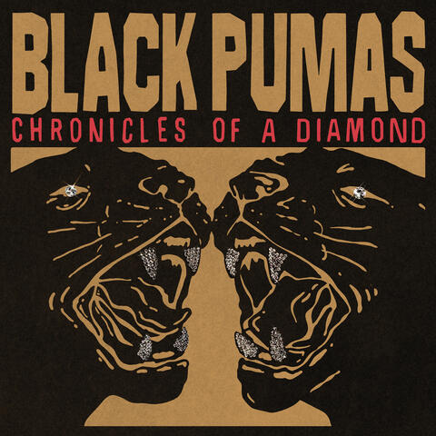Chronicles of a Diamond album art