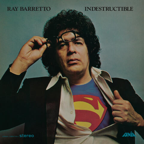 Indestructible album art