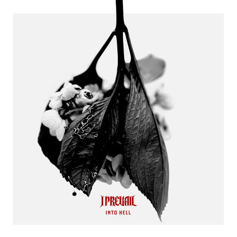 Into Hell album art