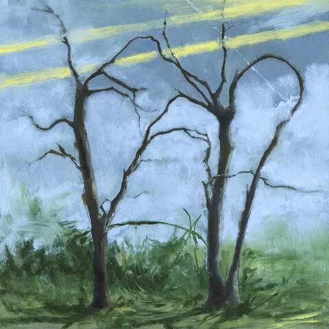Where the Earth Bends album art