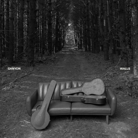 Canyon Walls album art