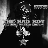 Image of The Bad Boy