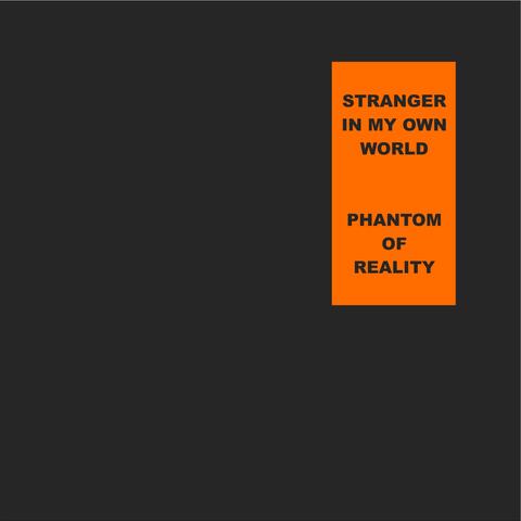 Stranger in My Own World album art