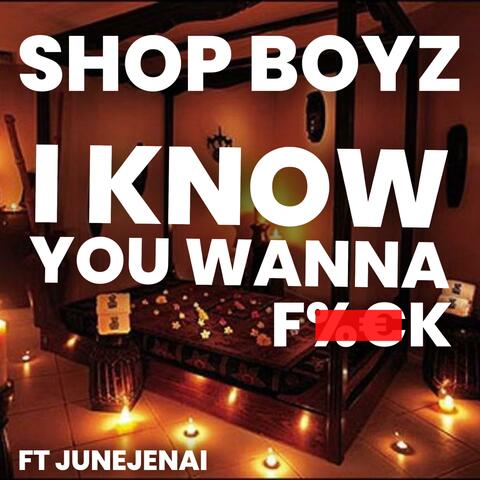 I KNOW YOU WANNA album art