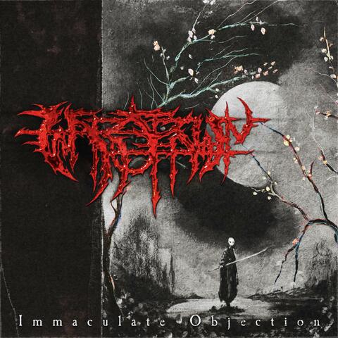 Immaculate Objection album art