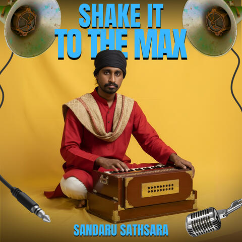 Shake It To The Max album art