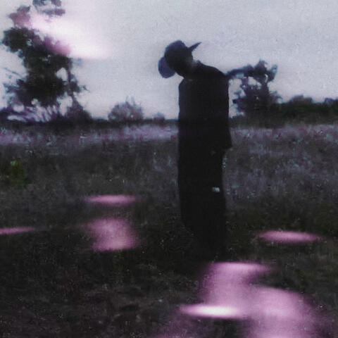 Night Falls album art