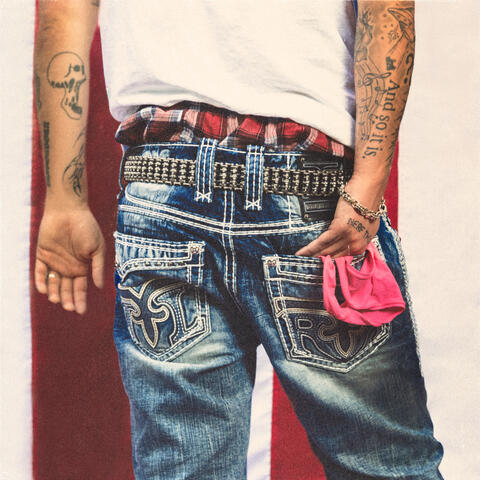 Porn in the U.S.A. album art