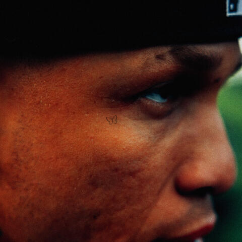 BUTTERFLIES album art