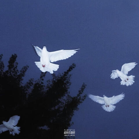 Did It Again album art