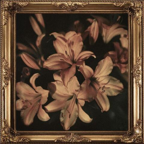 You Won't Love Me album art