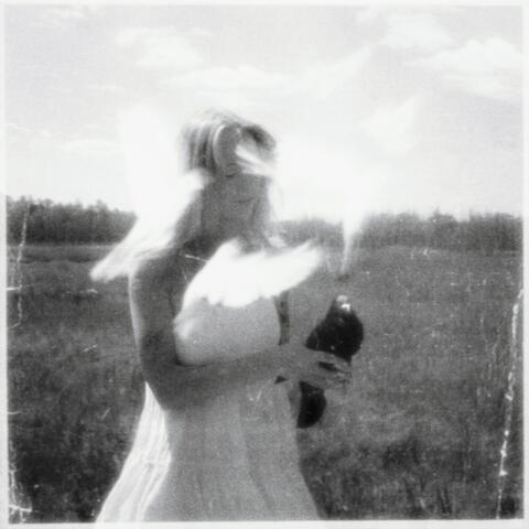 WIGHTNOISE album art