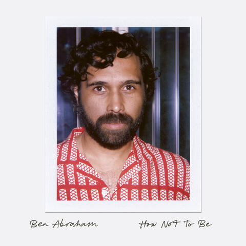 How Not To Be album art