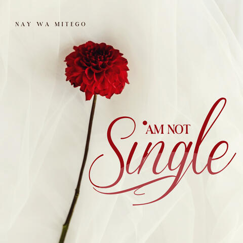 Am Not Single album art