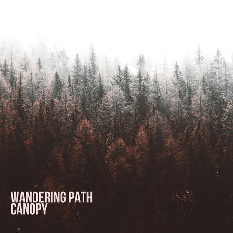 Canopy album art