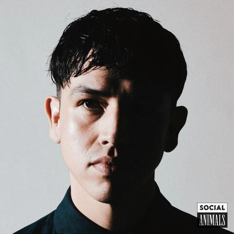 Do You Still? album art