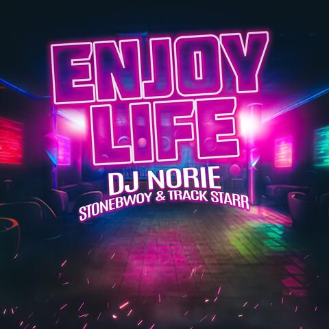 Enjoy Life album art