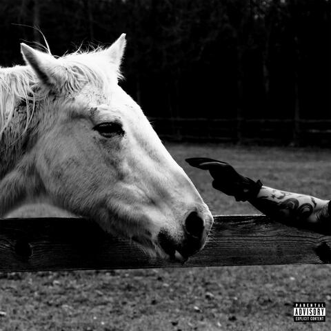 Rollercoaster album art