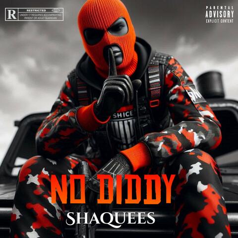 No Diddy album art