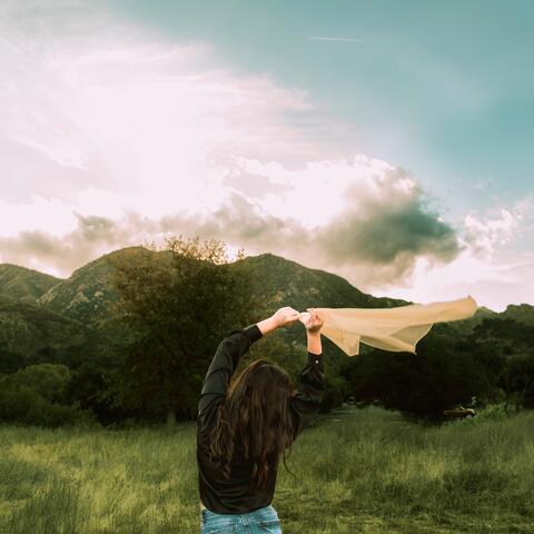 HIGHER album art