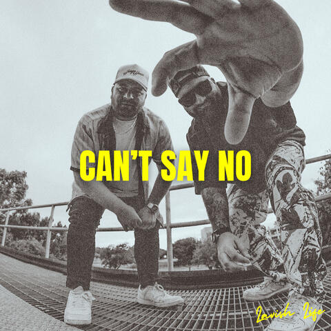 Can't Say No album art