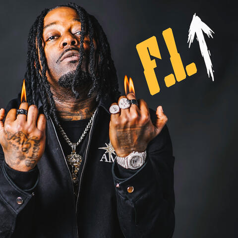 F.I.U. album art