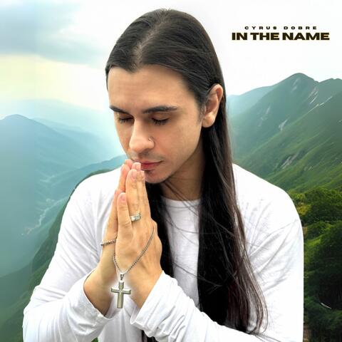 In The Name album art