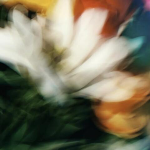 presence album art