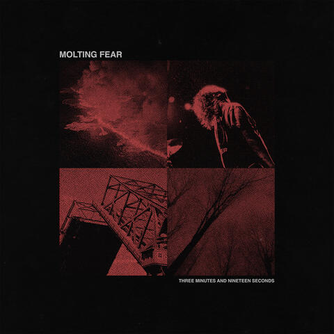 Molting Fear album art