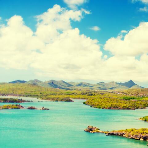 Distant Shores album art