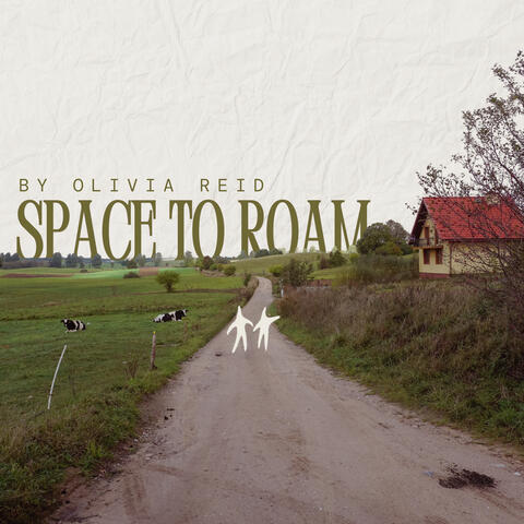 Space to Roam album art