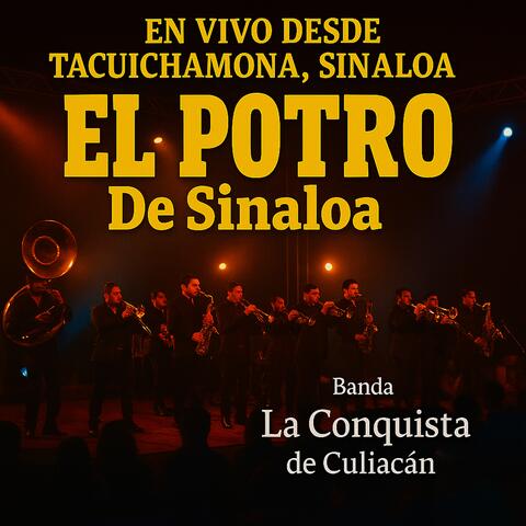EN VIVO DESDE TACUICHAMONA, SINALOA album art