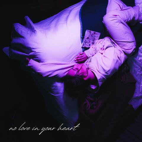 No Love in Your Heart album art