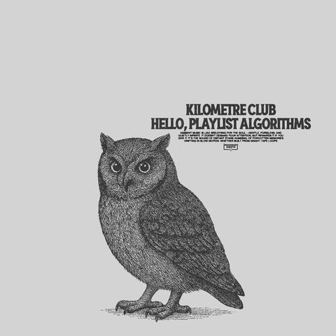 Hello, Playlist Algorithms album art