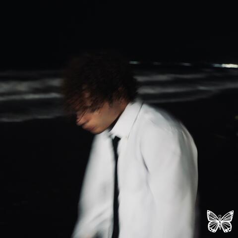 Have Fun album art
