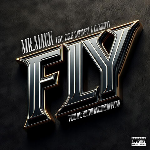 Fly album art